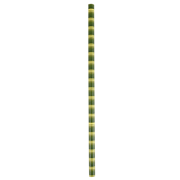 AUSPJ25BAM_2.jpg